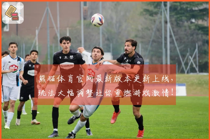 熊猫体育官网最新版本更新上线，玩法大幅调整让你重燃游戏激情！