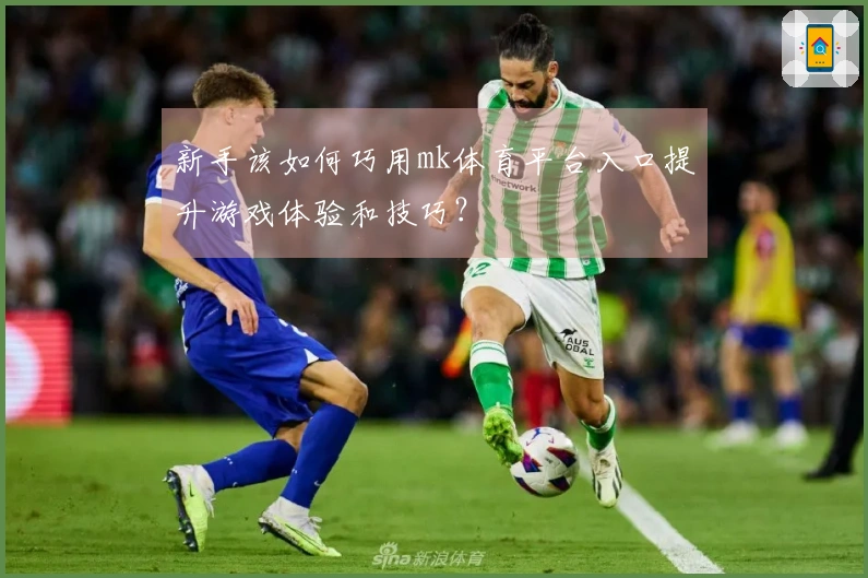 新手该如何巧用mk体育平台入口提升游戏体验和技巧？