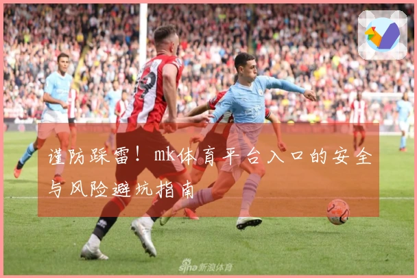 谨防踩雷！mk体育平台入口的安全与风险避坑指南