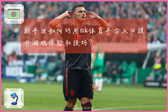 新手该如何巧用mk体育平台入口提升游戏体验和技巧？